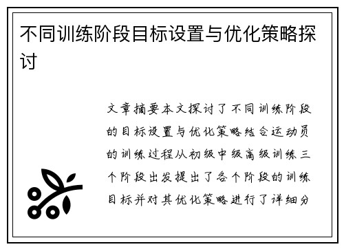 不同训练阶段目标设置与优化策略探讨